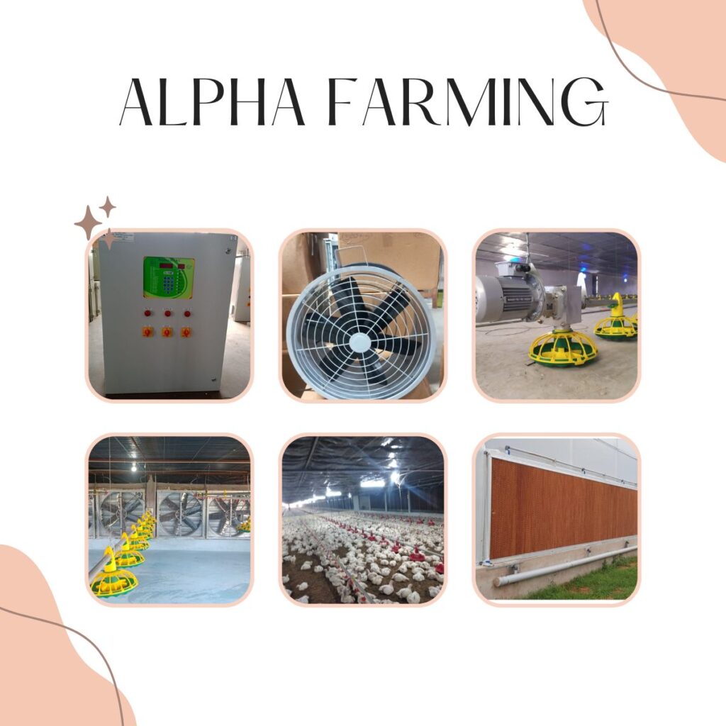 ALPHA FARMING