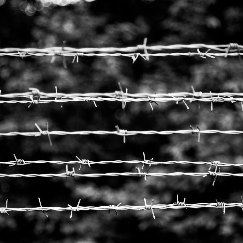 barbed wire