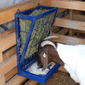 GOAT SALT LICK