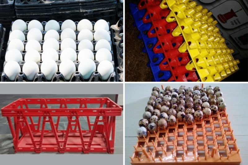 Poultry equipments