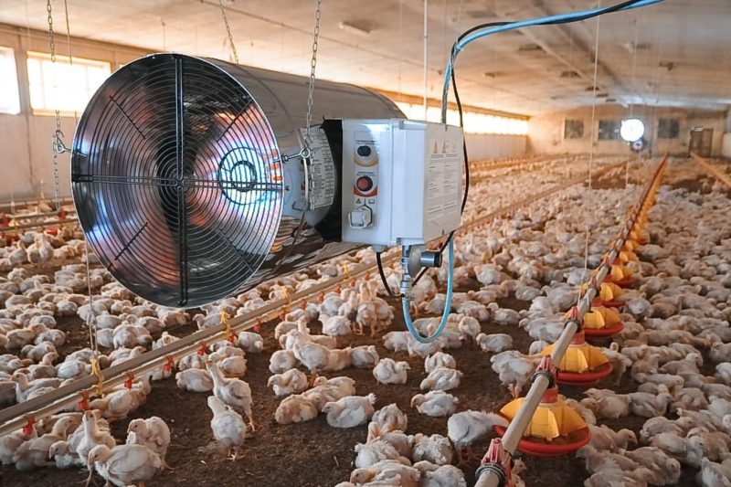 poultry heating equipment